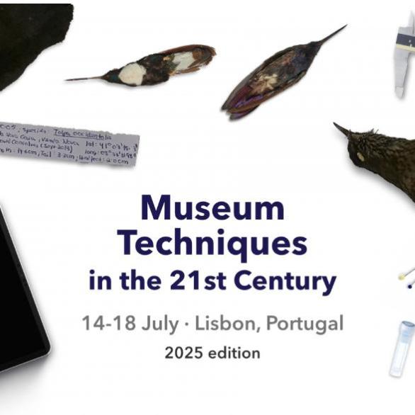 Museum Techniques 24-25